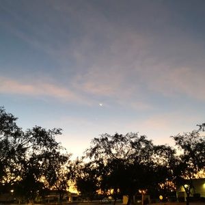 Meet your Posher, Brooklynn